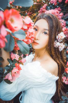 欧美MV、日韩MV、国产MV哪个更精彩？100部免费在线观看！