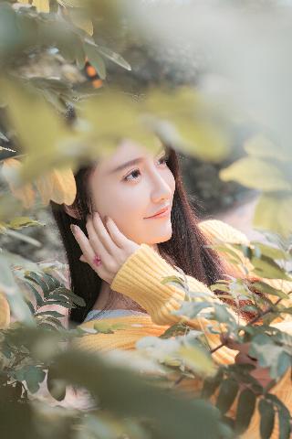 免费观看《八戒八戒》全集！你知道在哪能找到吗？